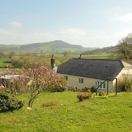 Bryn Hebog Bed and Breakfast Carmarthen Exteriör bild