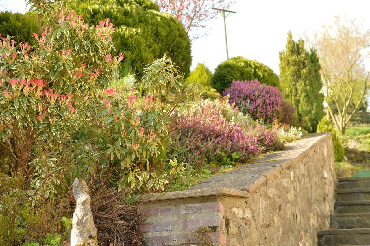 Bryn Hebog Bed and Breakfast Carmarthen Exteriör bild