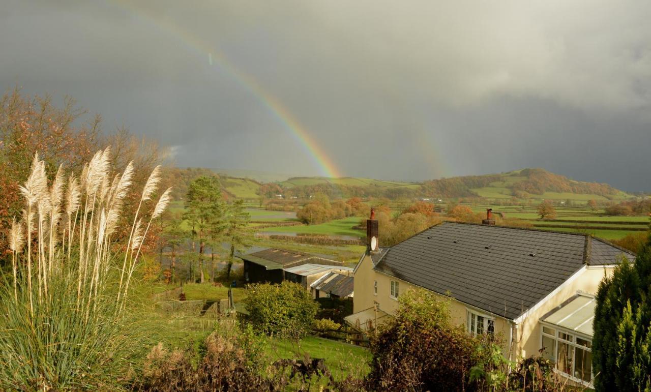 Bryn Hebog Bed and Breakfast Carmarthen Exteriör bild
