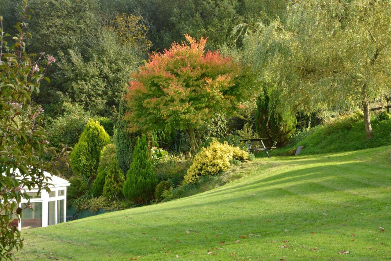 Bryn Hebog Bed and Breakfast Carmarthen Exteriör bild